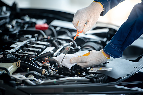 Car Maintenance Vista